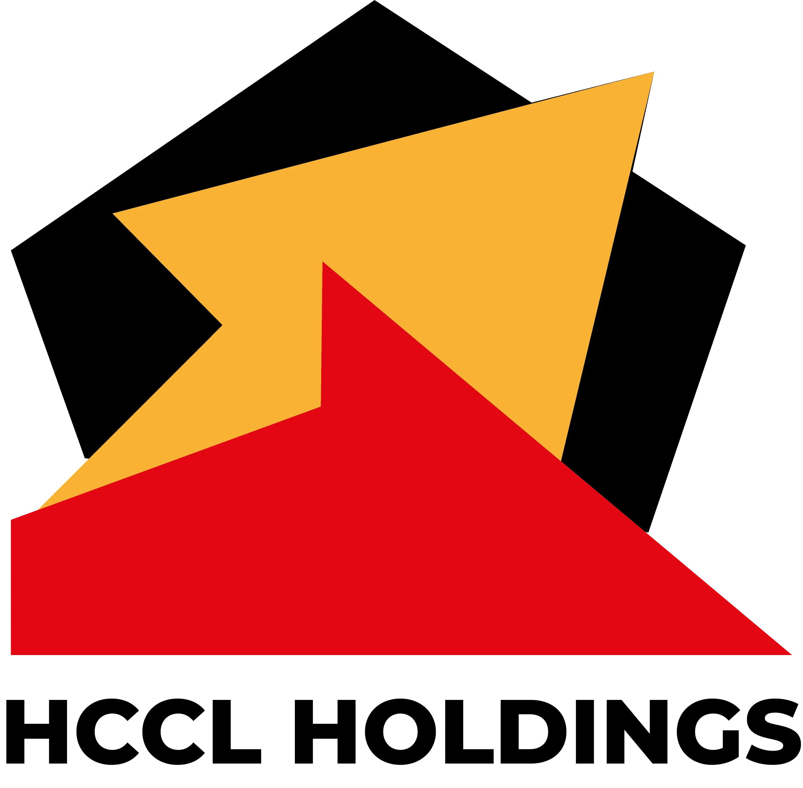 Company 6